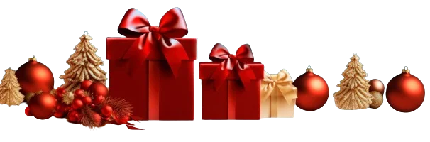 28290-removebg-preview (1) (1)